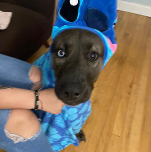 Meet your Posher, Melanie